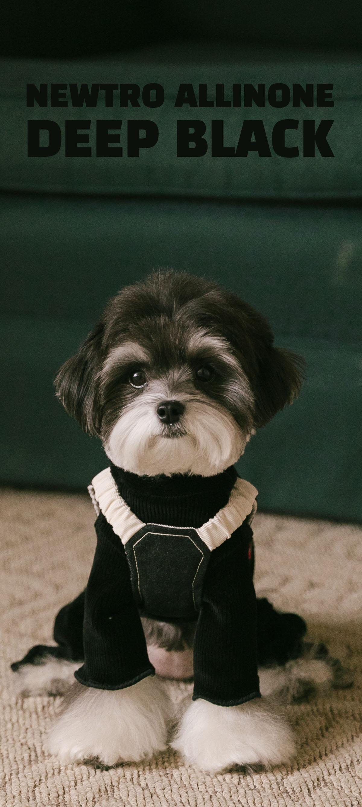 Rolling pepe NewtroAllinone_DeepBlack(M)