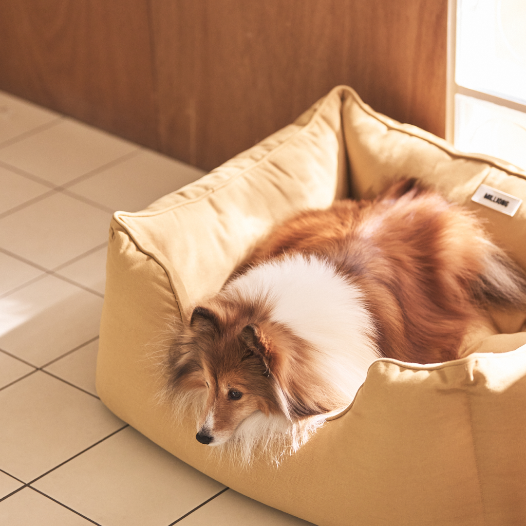 MILLIONG MUFFIN BED (Camel_L)