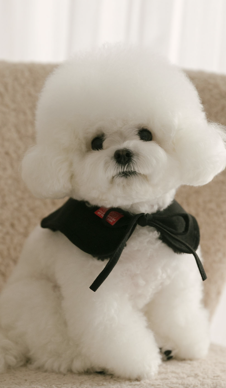 Rolling pepe PinbarMusCape_DeepBlack(L)