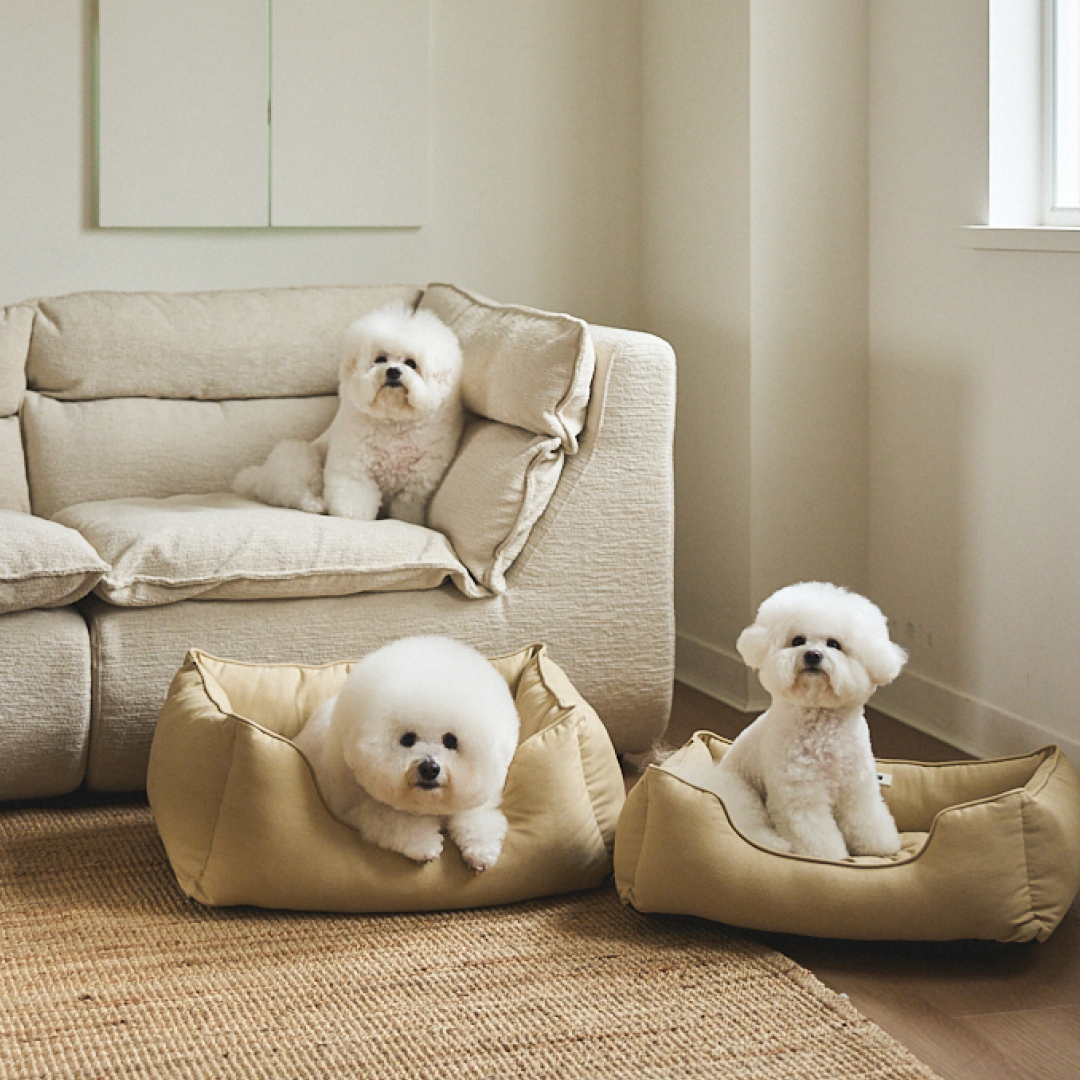 MILLIONG MUFFIN BED (Begie_L)