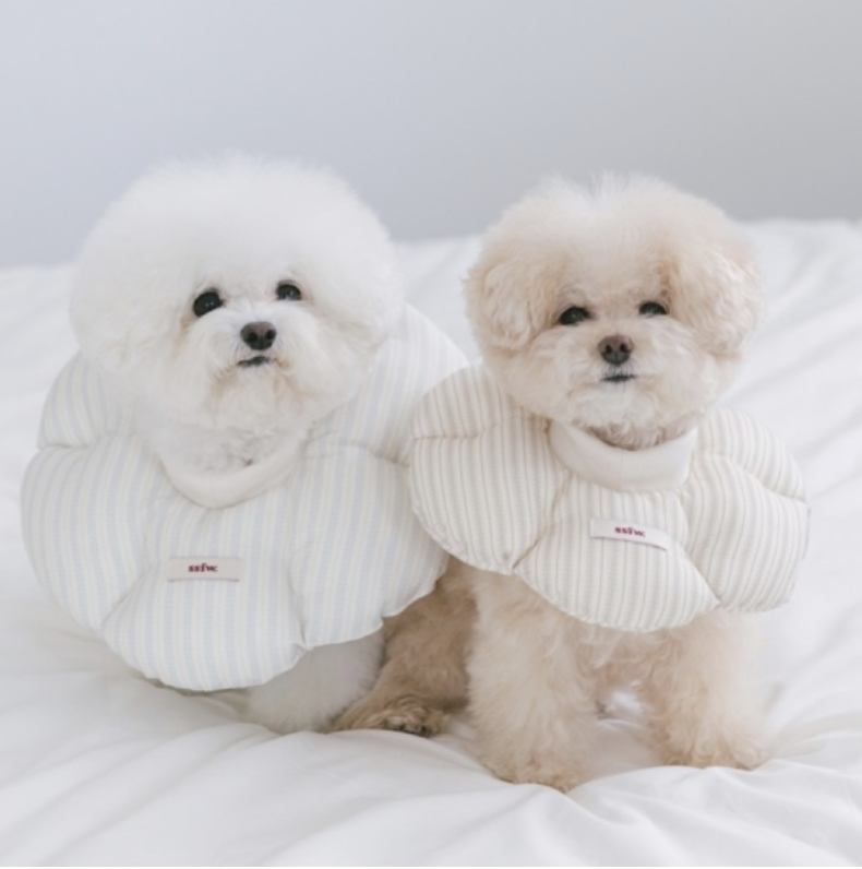 SSFW Cloud Neck Collar (BEIGE_M)