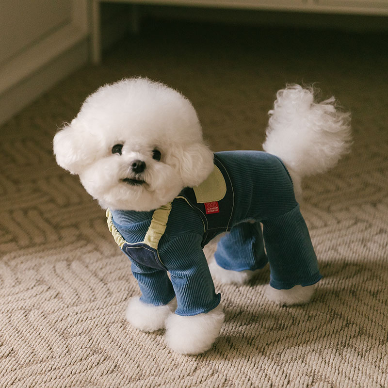 Rolling pepe NewtroAllinone_DenimBlue(S)