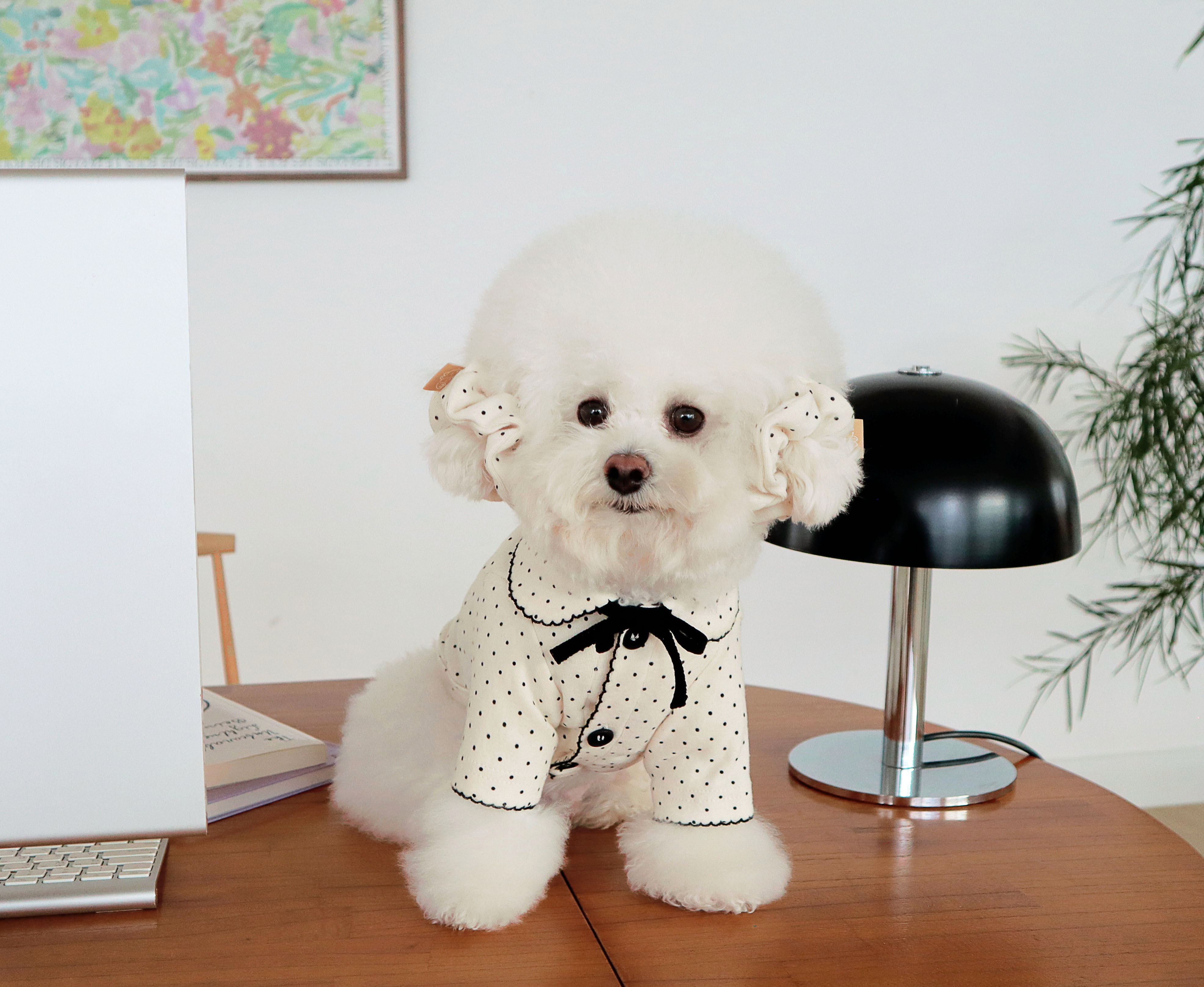 DURANGRURANG Dot Ribbon Cardigan_Oreo Cream(M)