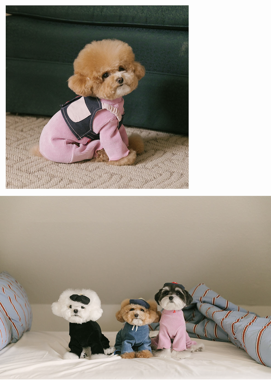 Rolling pepe NewtroAllinone_Light Pink(M)