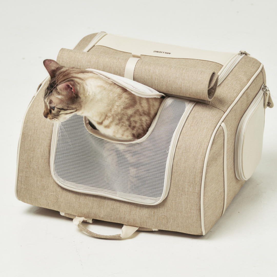 MILLIONG BACKHUG BACKPACK (POWDER BLUE_L) 