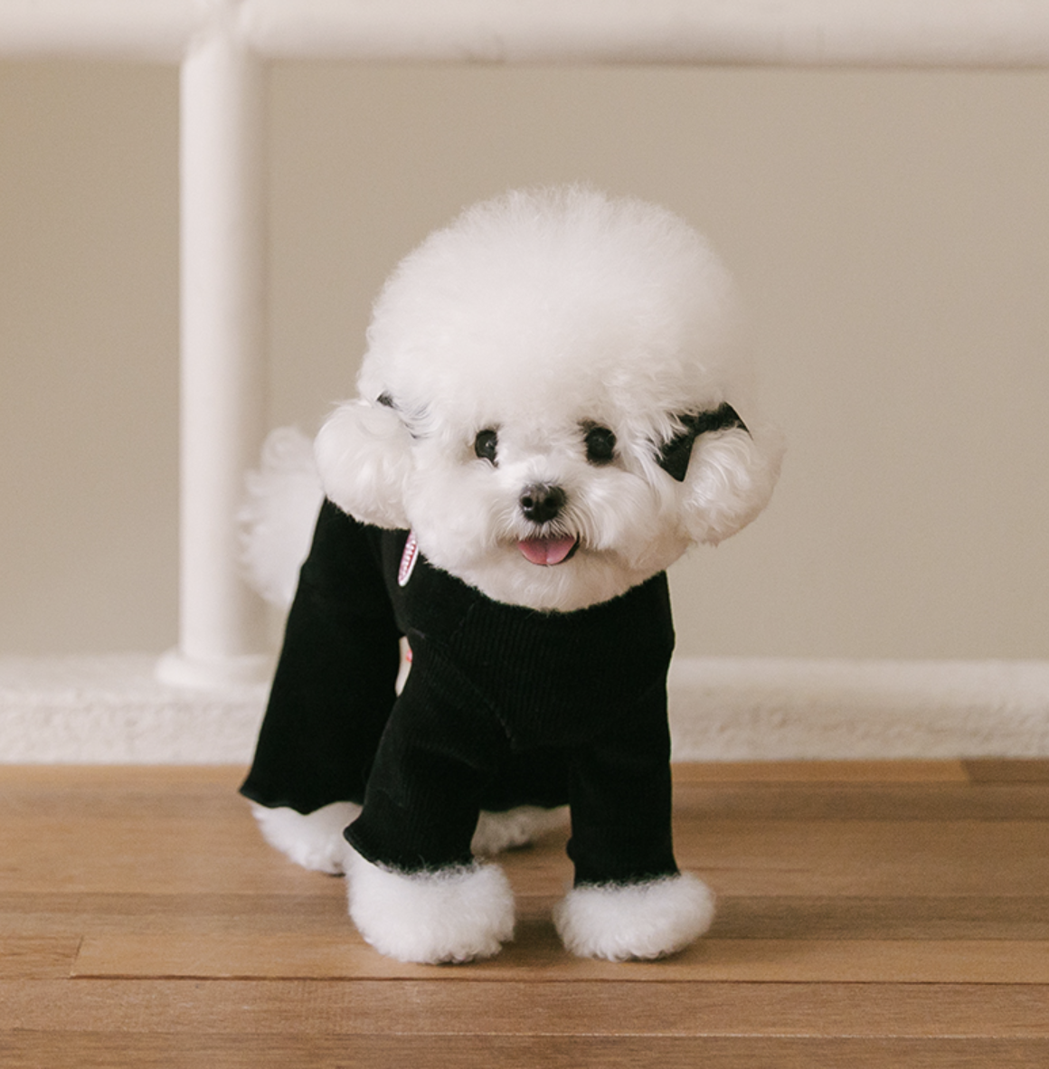 Rolling pepe NewtroAllinone_DeepBlack(S)