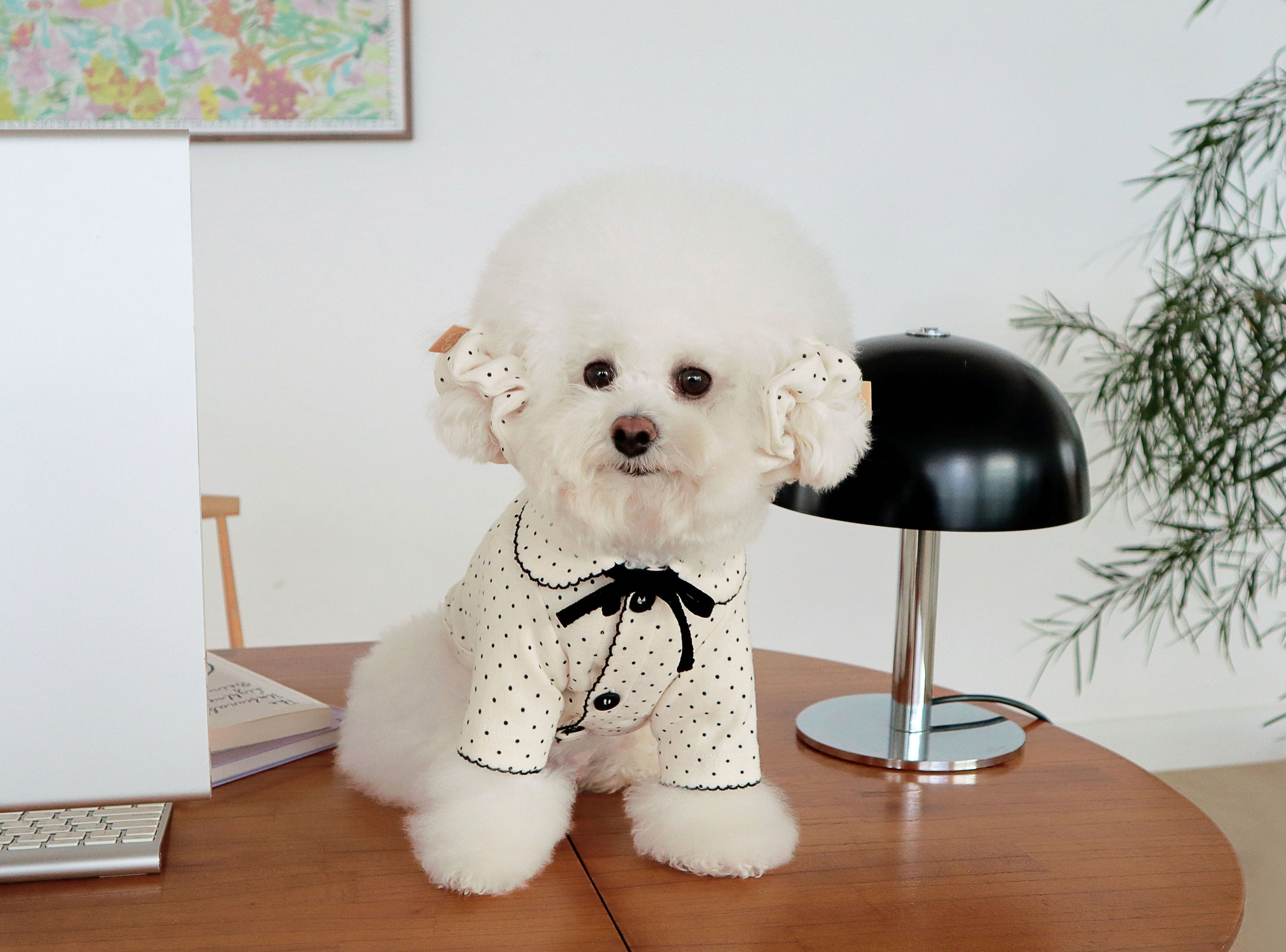 DURANGRURANG Dot Ribbon Cardigan_Oreo Cream(L)