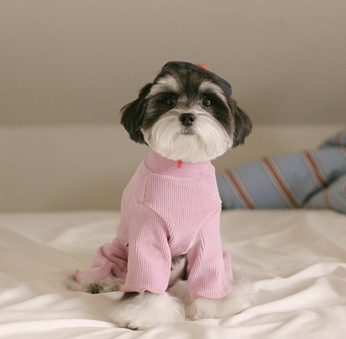 Rolling pepe NewtroAllinone_Light Pink(M)