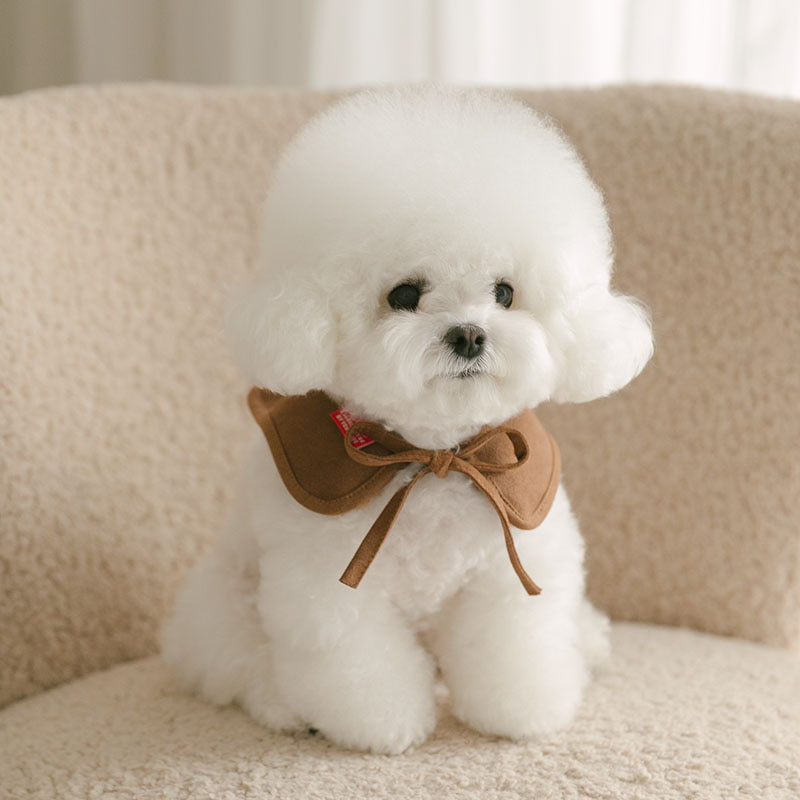 Rolling pepe PinbarMusCape_Kakao(L)