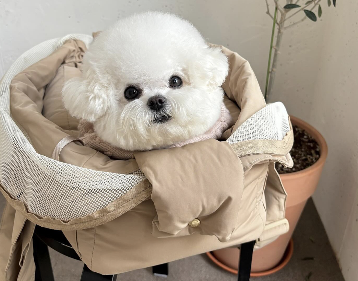 MILLIONG SOFT BAGEL (AMOND_M)