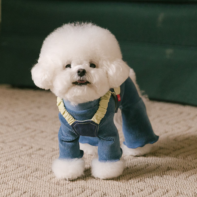 Rolling pepe NewtroAllinone_DenimBlue(M)