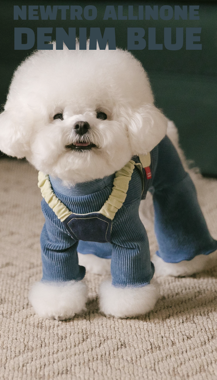 Rolling pepe NewtroAllinone_DenimBlue(S)