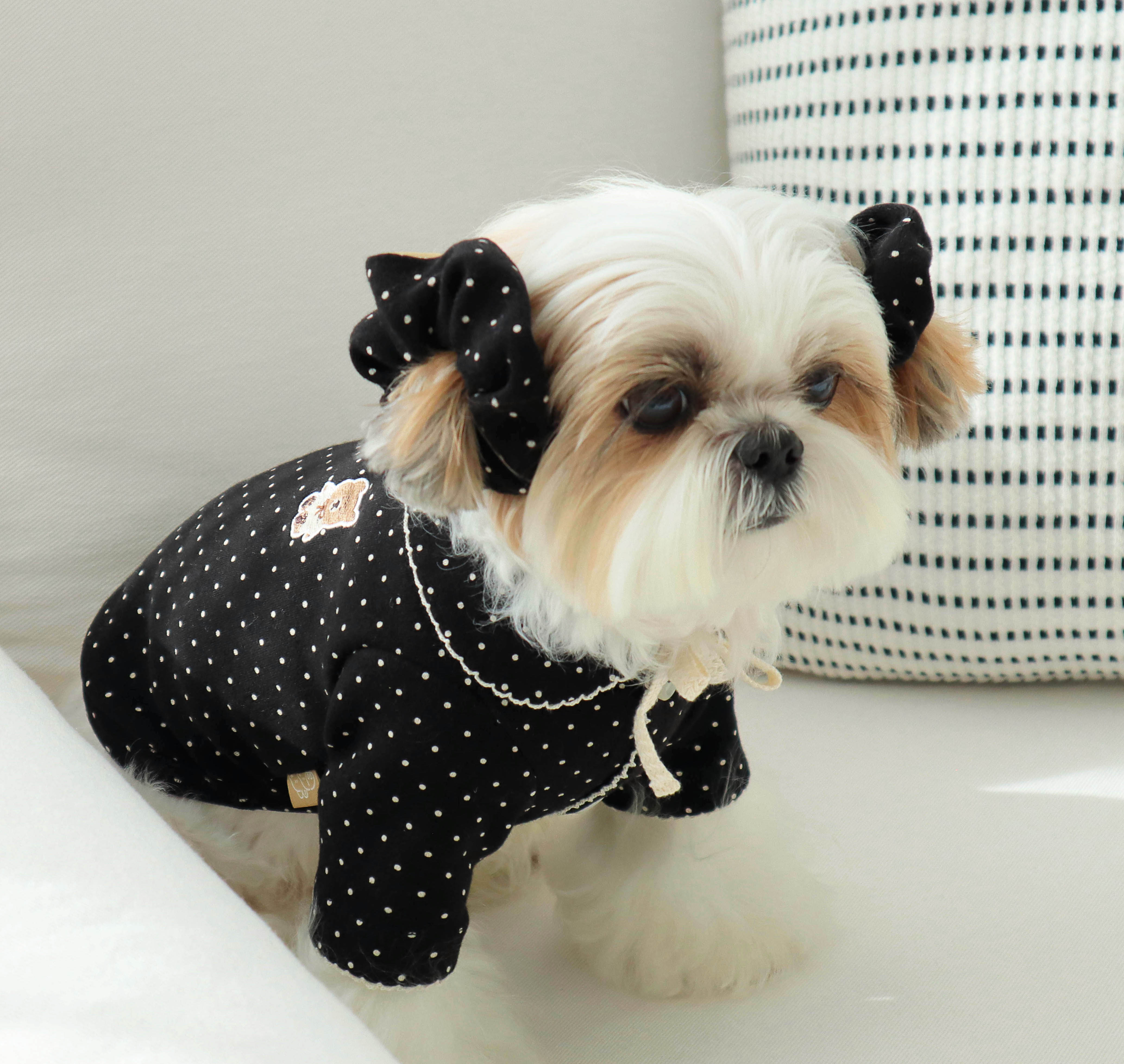 DURANGRURANG Dot Ribbon Cardigan_Cookie Black(M)