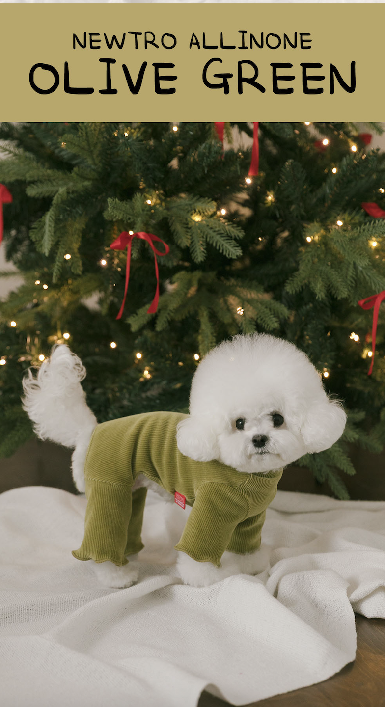 Rolling pepe NewtroAllinone_Oilve Green(S)