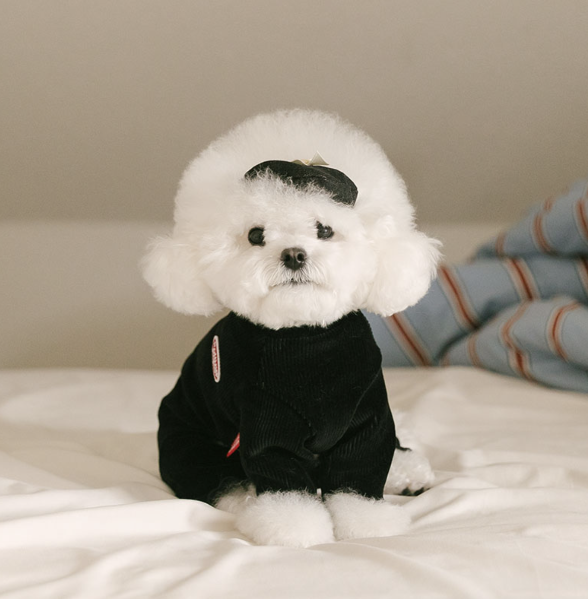 Rolling pepe NewtroAllinone_DeepBlack(S)