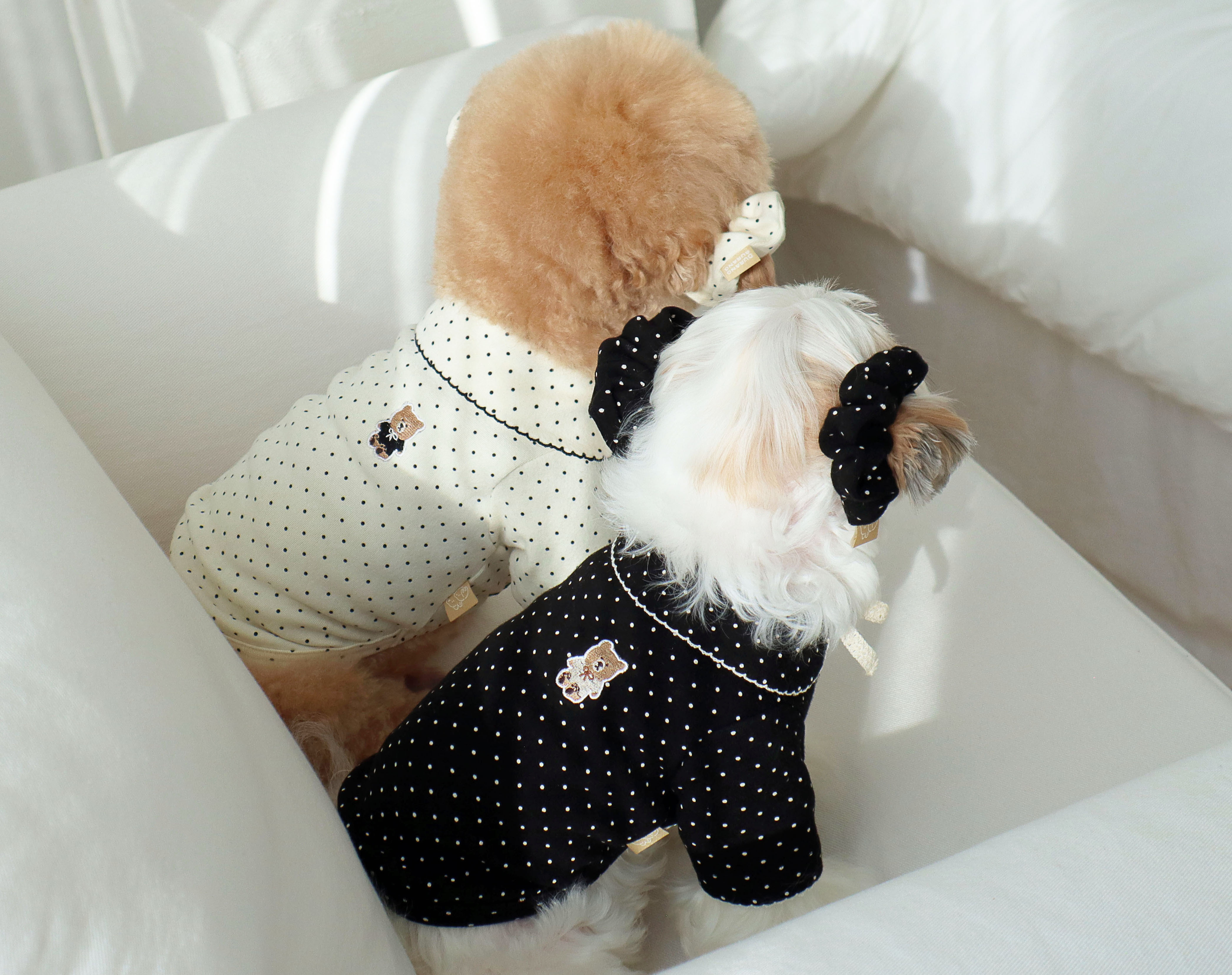 DURANGRURANG Dot Ribbon Cardigan_Cookie Black(L)
