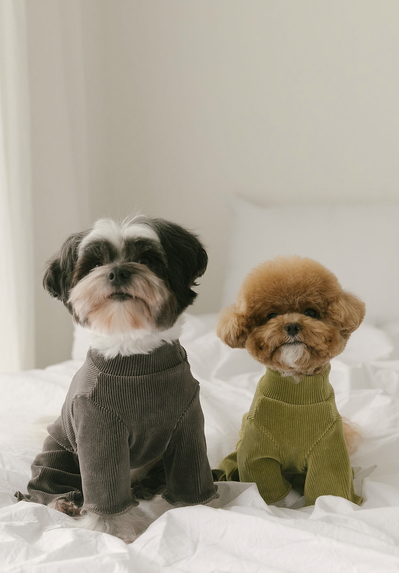 Rolling pepe NewtroAllinone_Oilve Green(M)