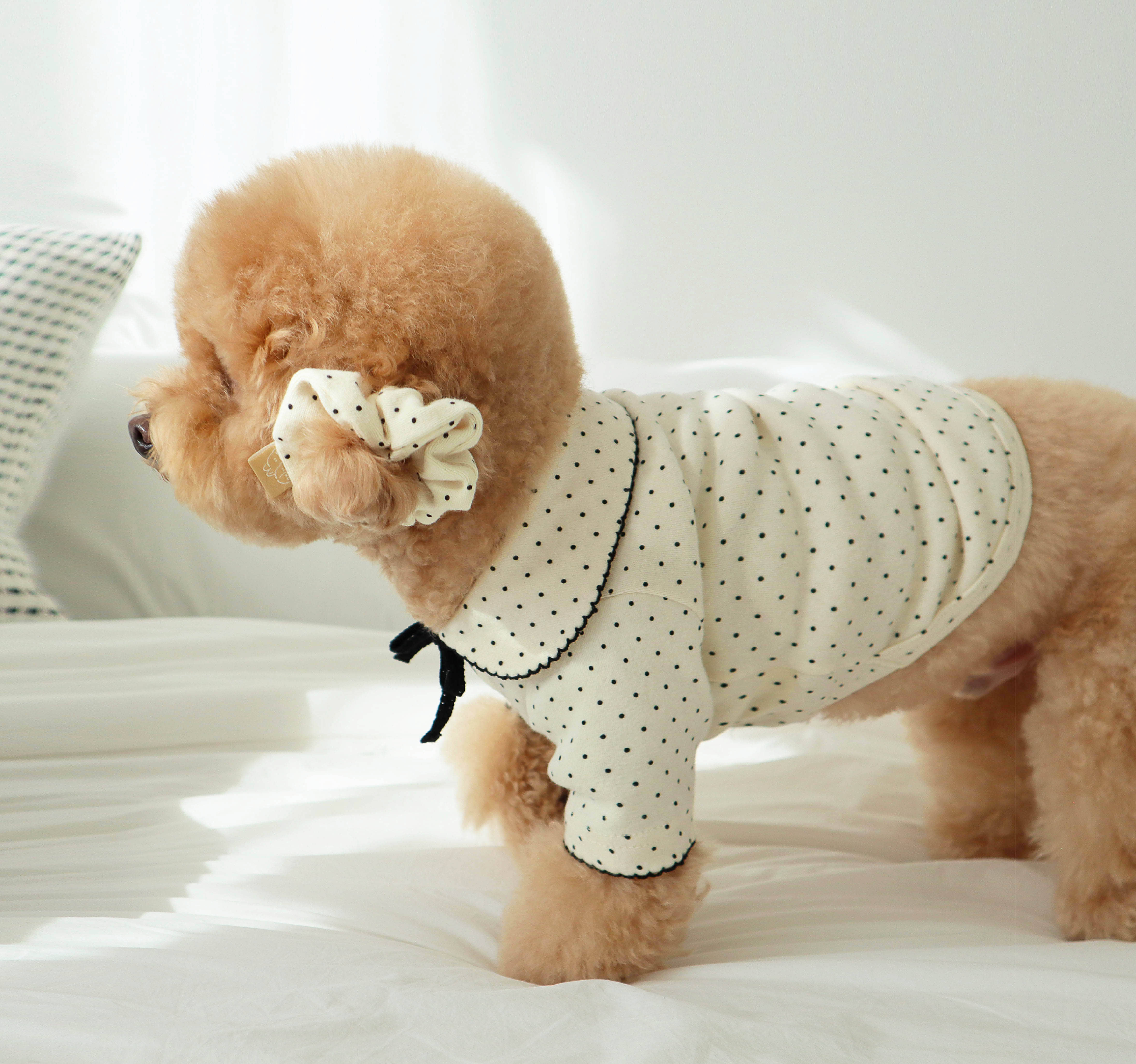 DURANGRURANG Dot Ribbon Cardigan_Oreo Cream(S)