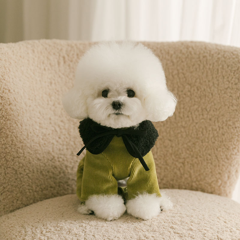 Rolling pepe NewtroAllinone_Oilve Green(S)