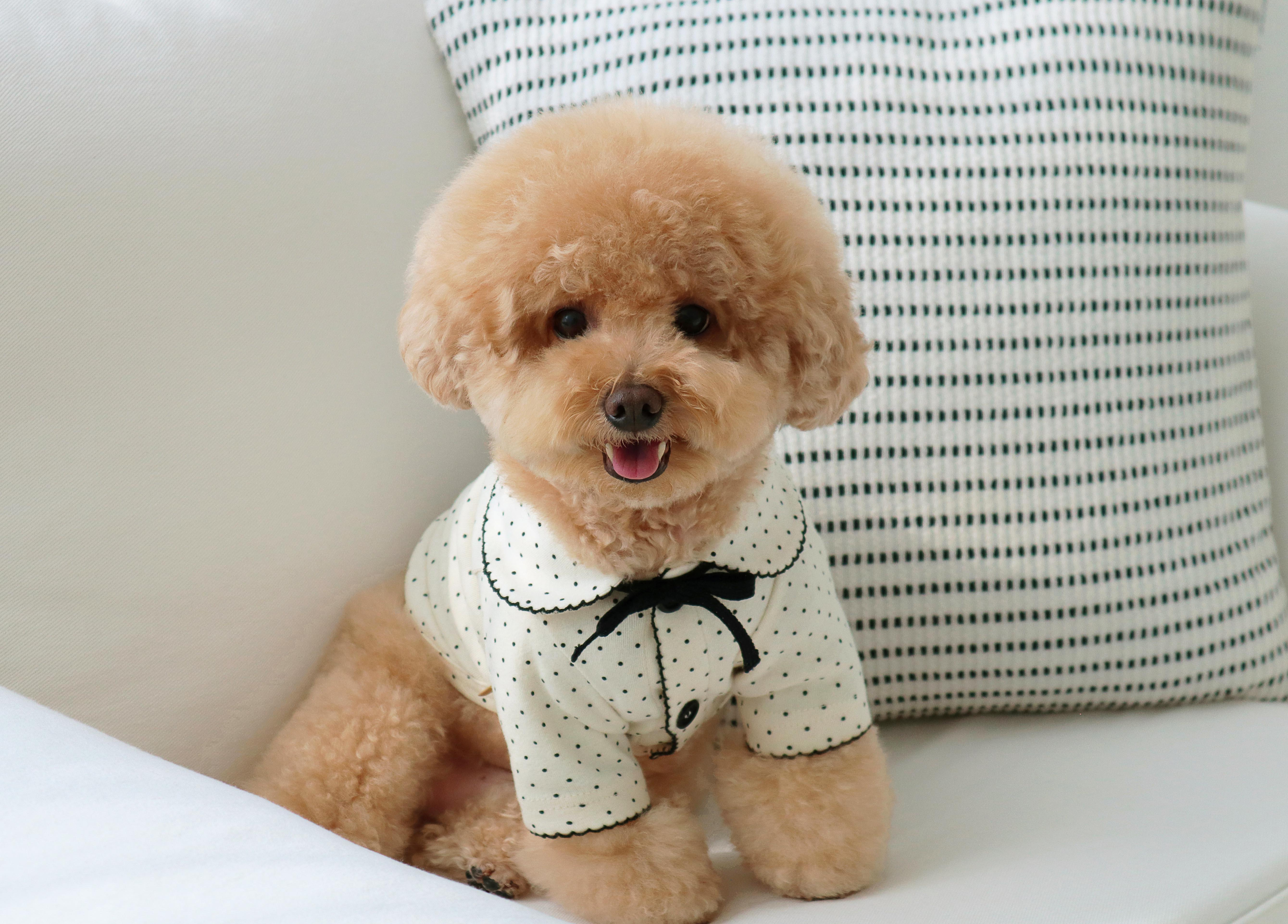 DURANGRURANG Dot Ribbon Cardigan_Oreo Cream(M)