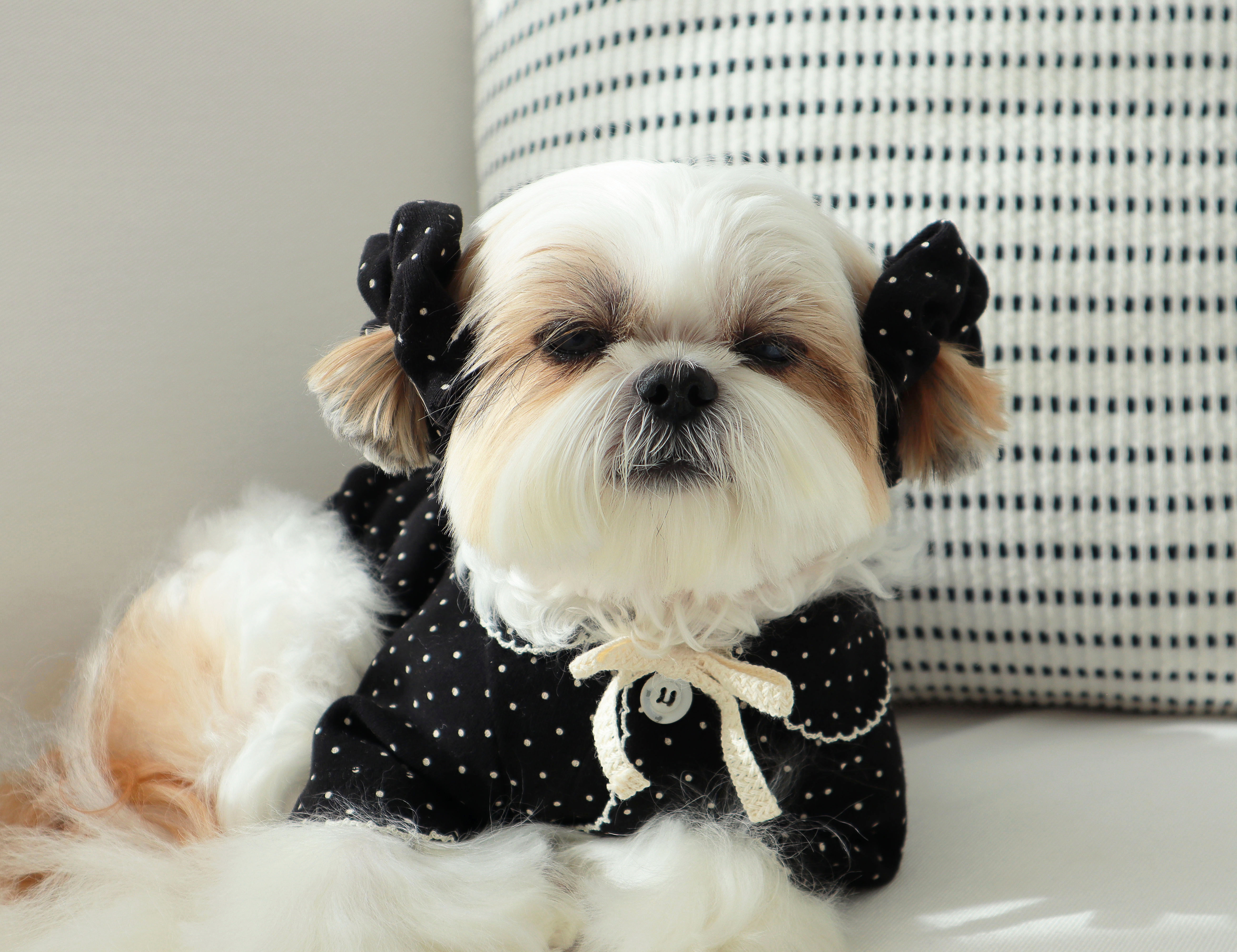 DURANGRURANG Dot Ear Scrunchie_Black