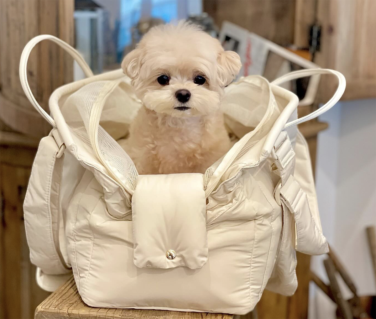 MILLIONG SOFT BAGEL (VANILA CREAM_M)