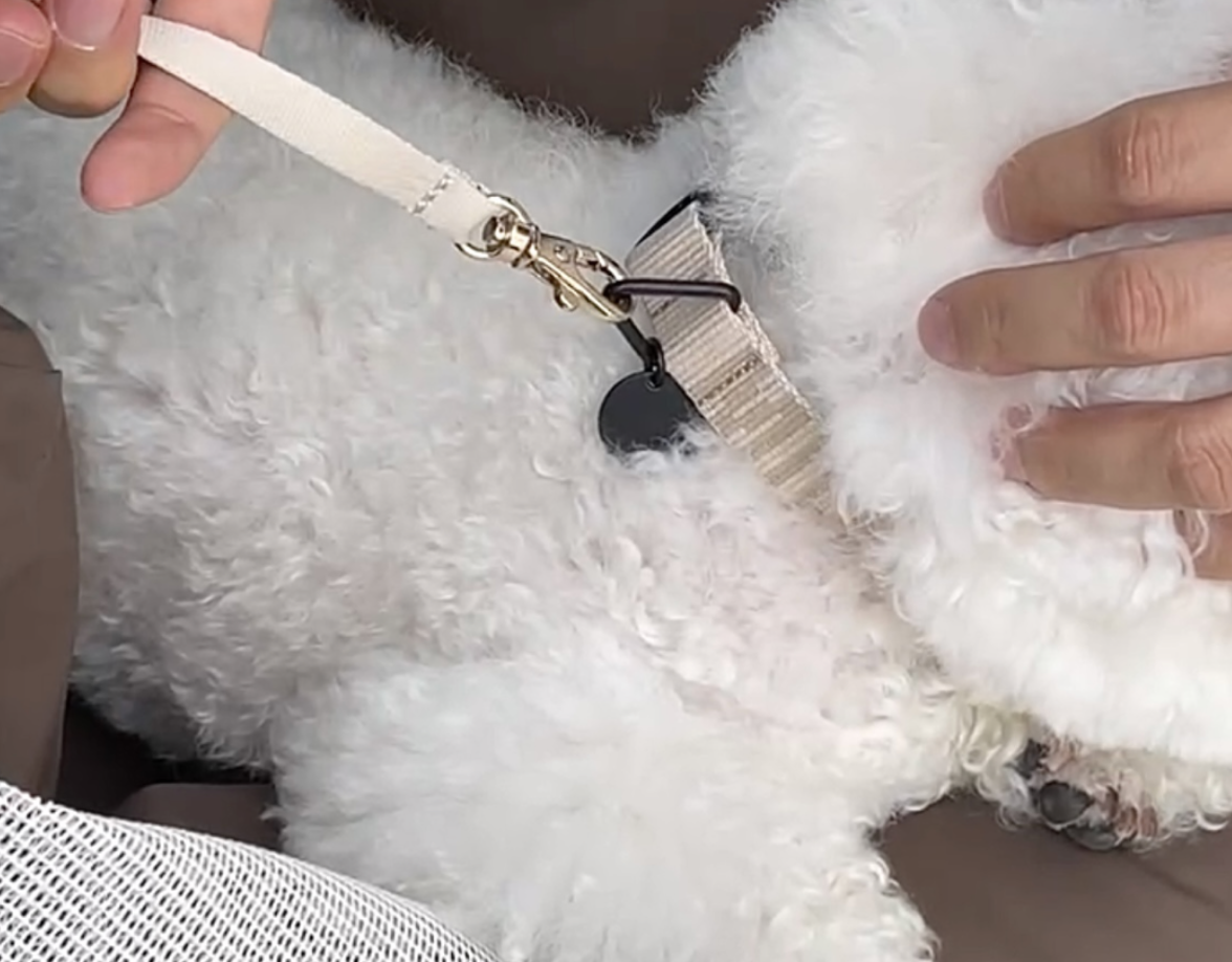 MILLIONG CAR SEAT BAG