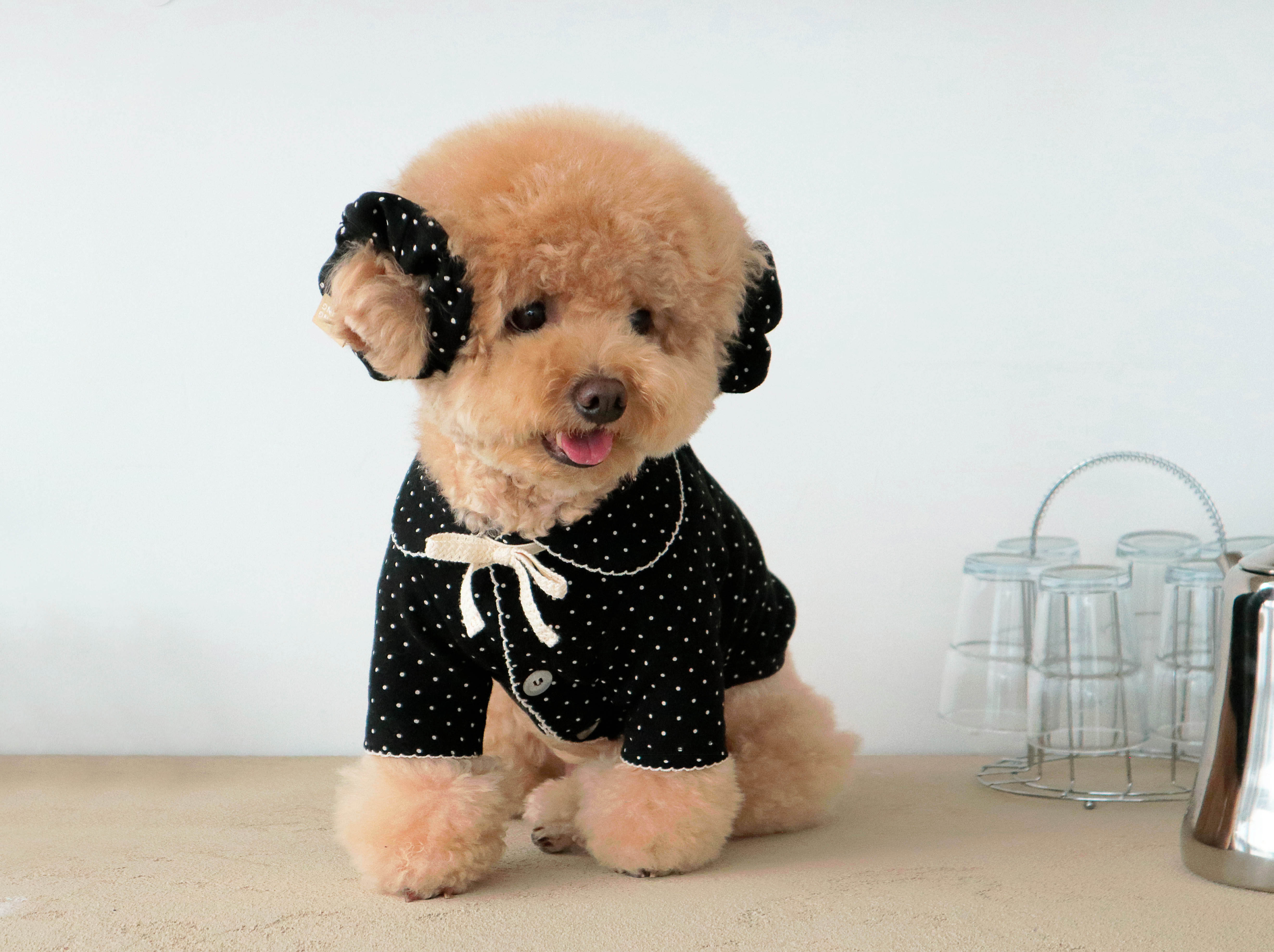 DURANGRURANG Dot Ribbon Cardigan_Cookie Black(M)