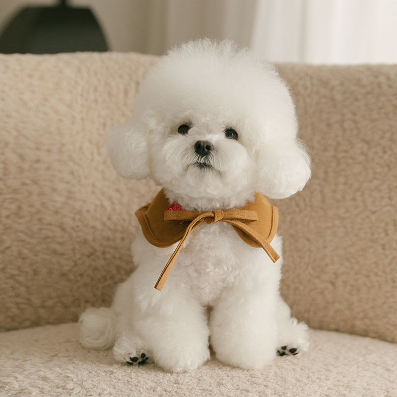 Rolling pepe PinbarMusCape_Tombrown(S)