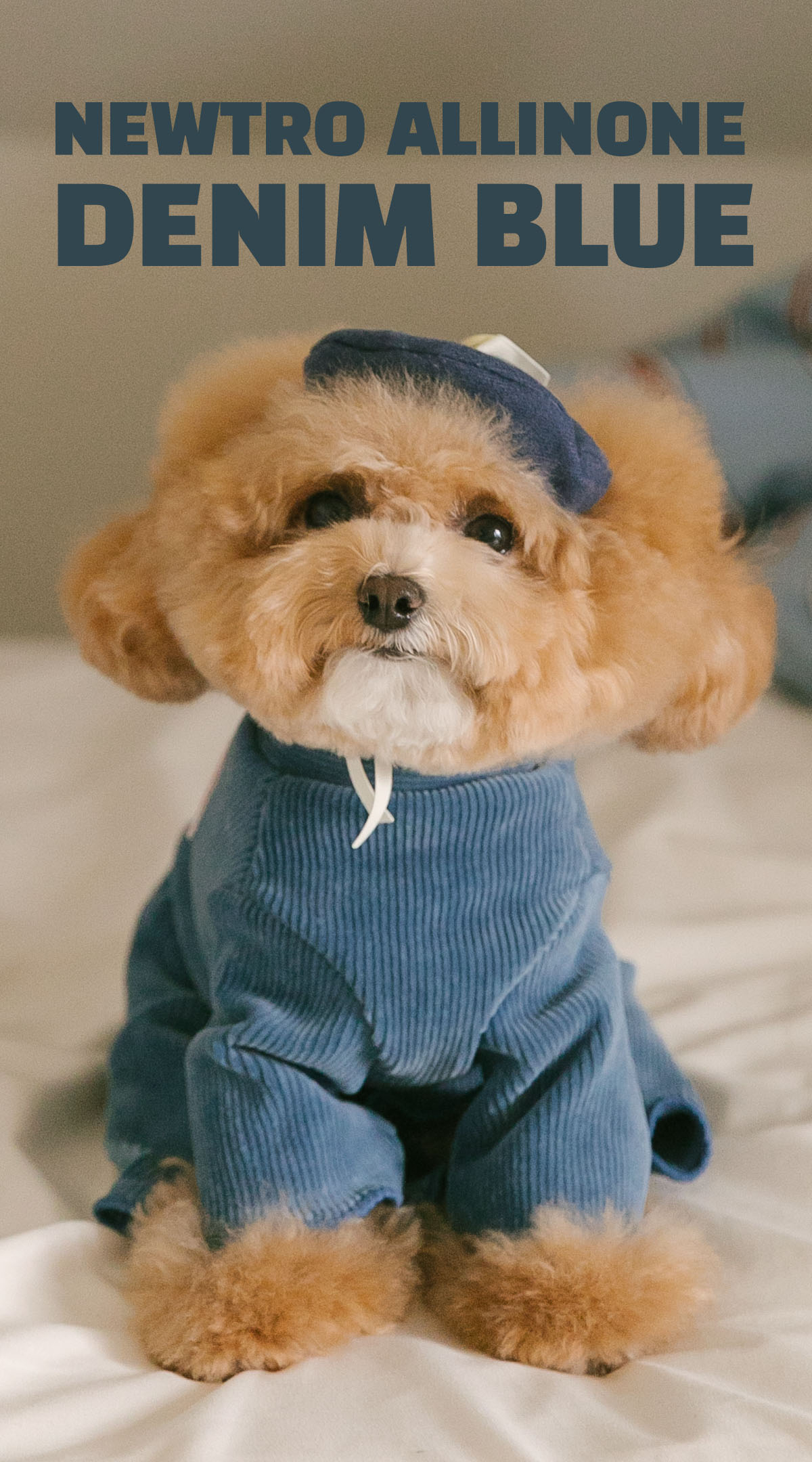 Rolling pepe NewtroAllinone_DenimBlue(M)