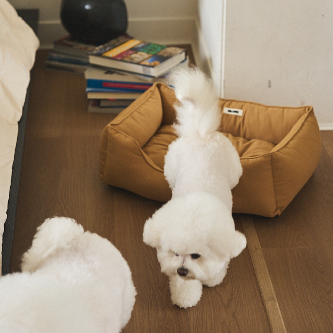 MILLIONG MUFFIN BED (Camel_M)