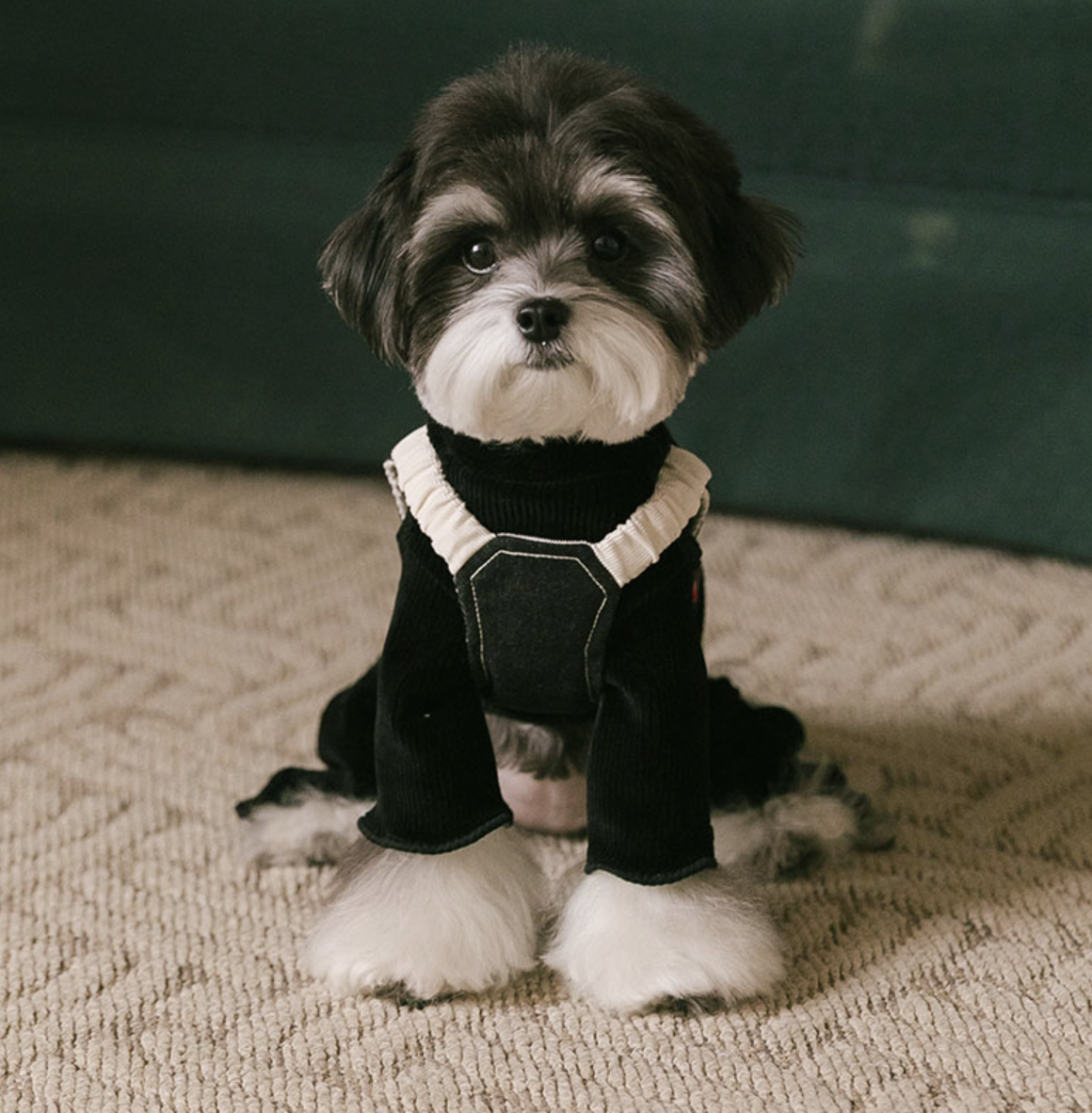 Rolling pepe NewtroAllinone_DeepBlack(S)