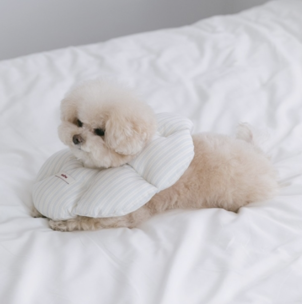 SSFW Cloud Neck Collar(BLUE_L)