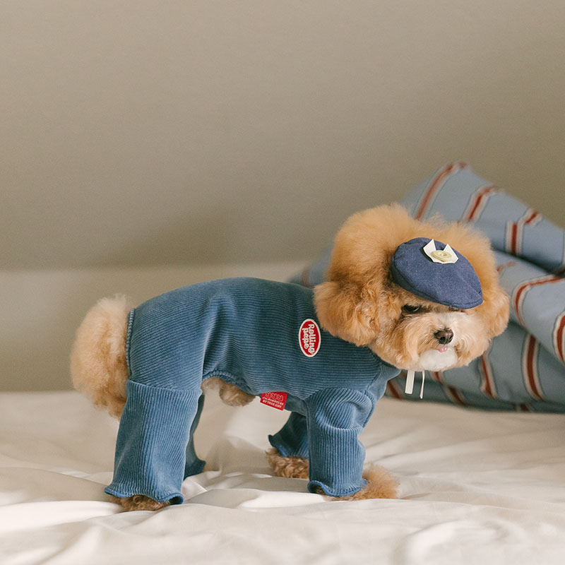 Rolling pepe NewtroAllinone_DenimBlue(M)