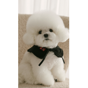 Rolling pepe PinbarMusCape_DeepBlack(S)