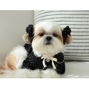 DURANGRURANG Dot Ribbon Cardigan_Cookie Black(L)