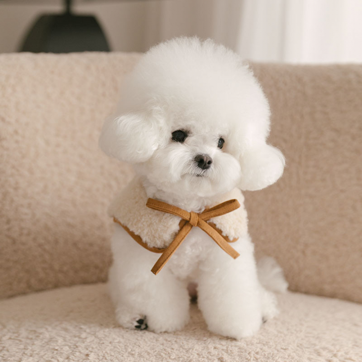 Rolling pepe PinbarMusCape_Tombrown(L)