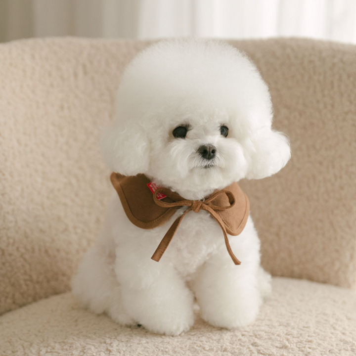 Rolling pepe PinbarMusCape_Kakao(S)