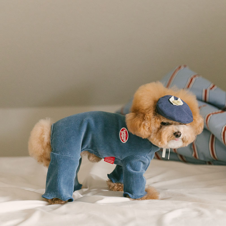 Rolling pepe NewtroAllinone_DenimBlue(S)