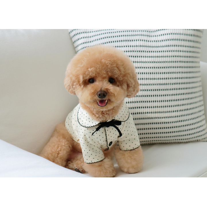 DURANGRURANG Dot Ribbon Cardigan_Oreo Cream(M)