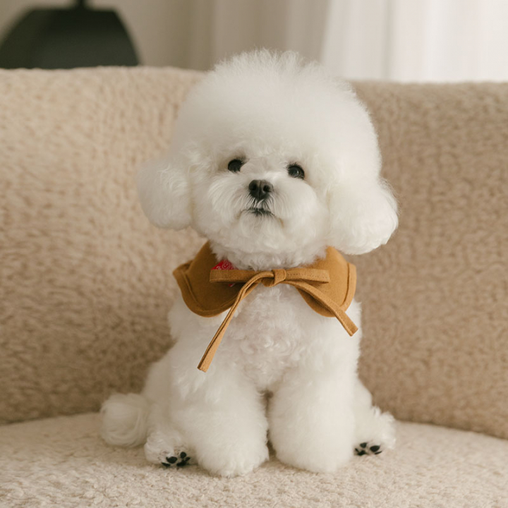 Rolling pepe PinbarMusCape_Tombrown(S)