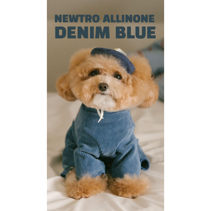 Rolling pepe NewtroAllinone_DenimBlue(M)